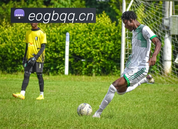 HTH华体会体育登录入口hth.comAPP 高清赛事图